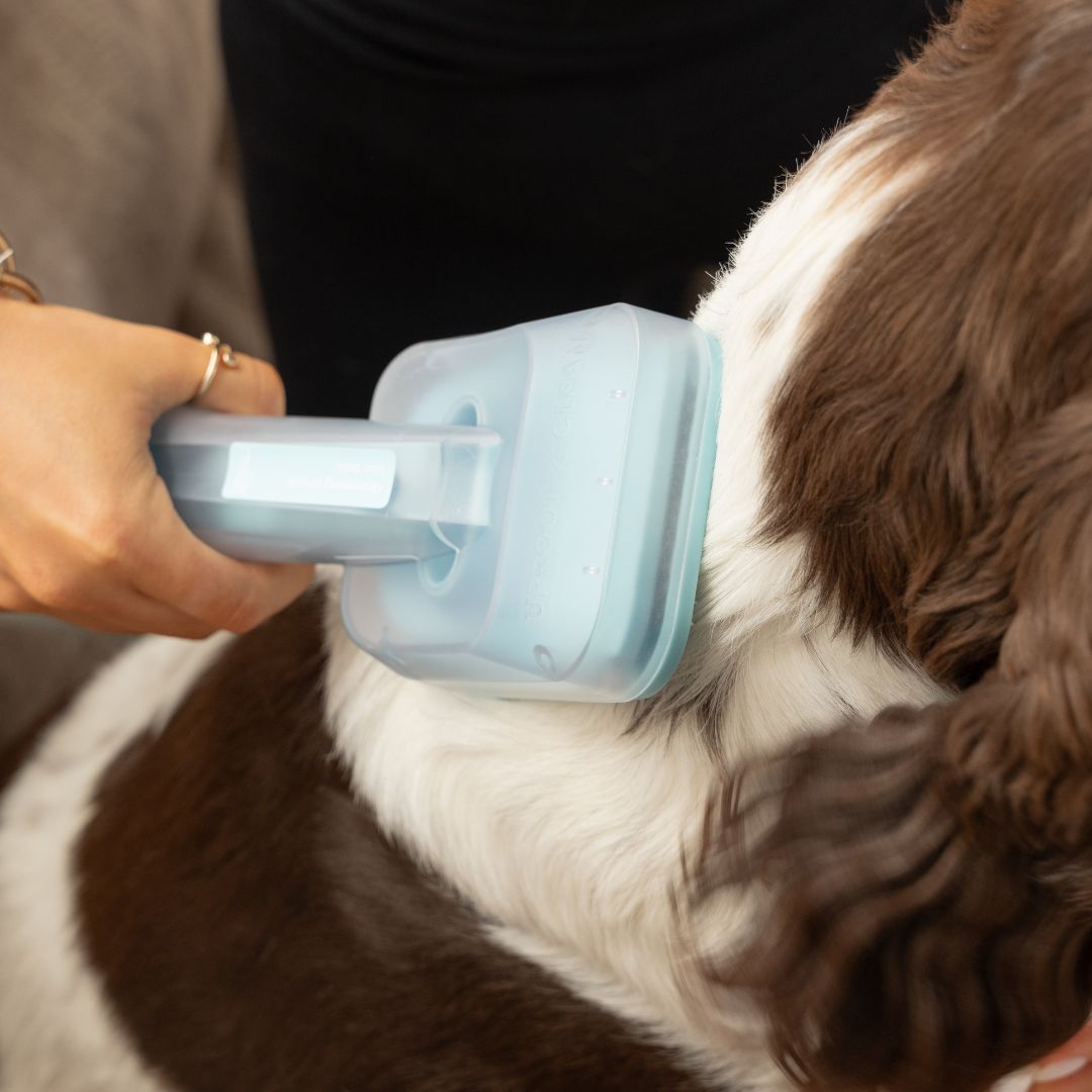 Uproot Pet Grooming Kit